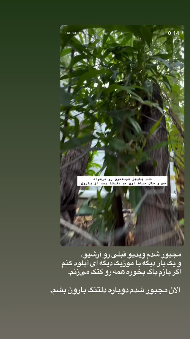  جدید ترین استوری اینستاگرام نيره سادات ميرخليلى