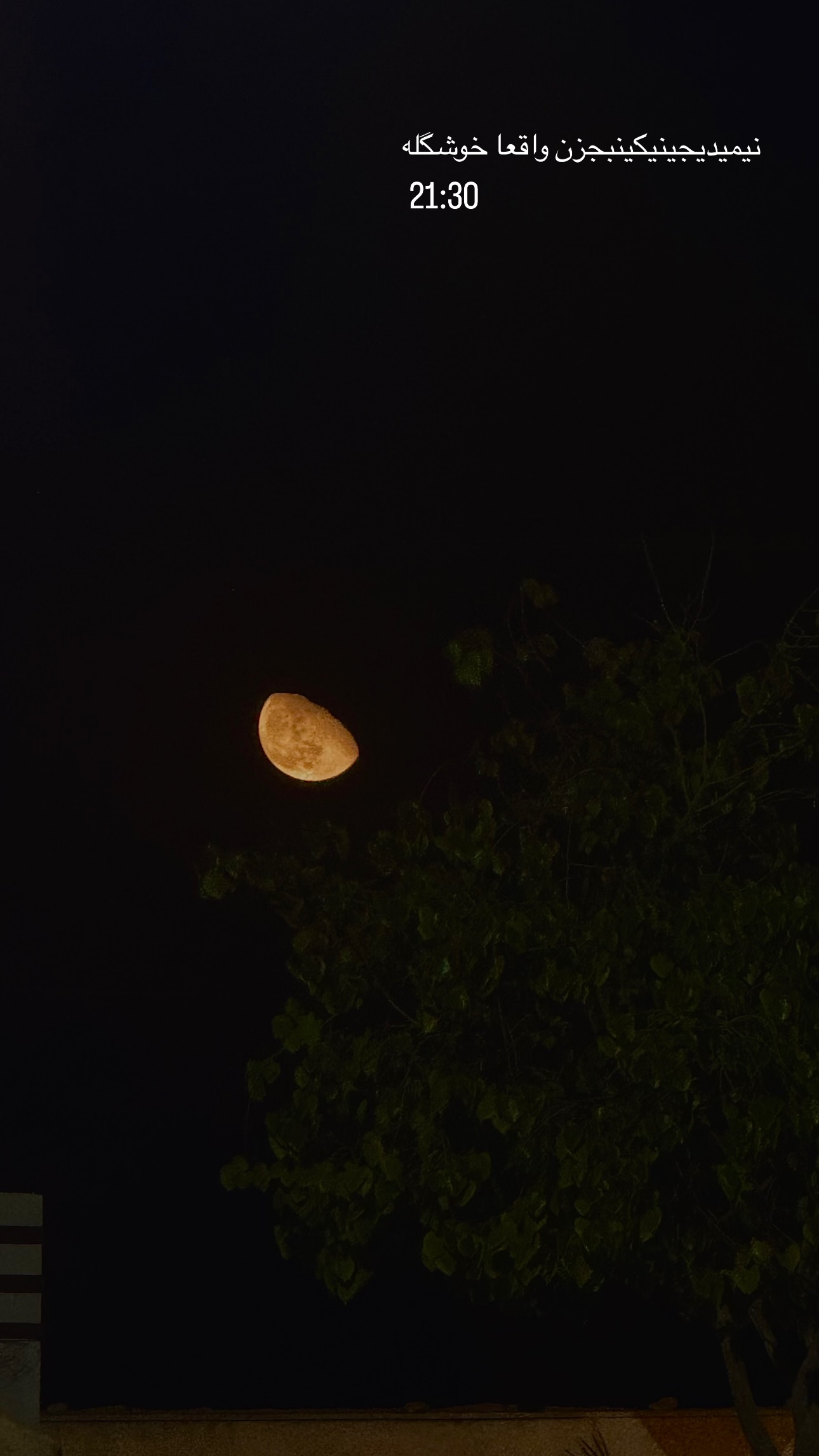  جدید ترین استوری اینستاگرام نيره سادات ميرخليلى