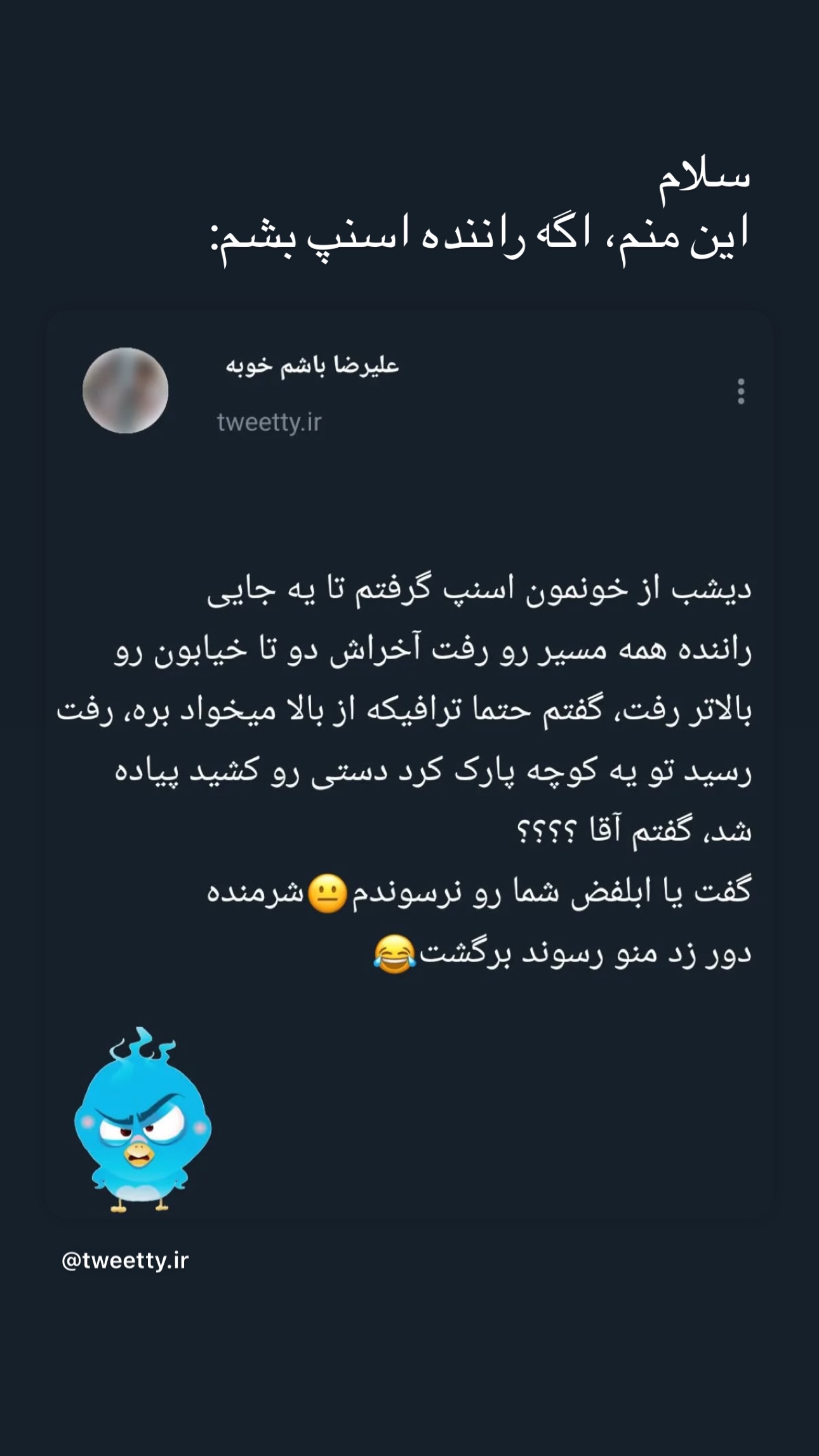  جدید ترین استوری اینستاگرام نيره سادات ميرخليلى