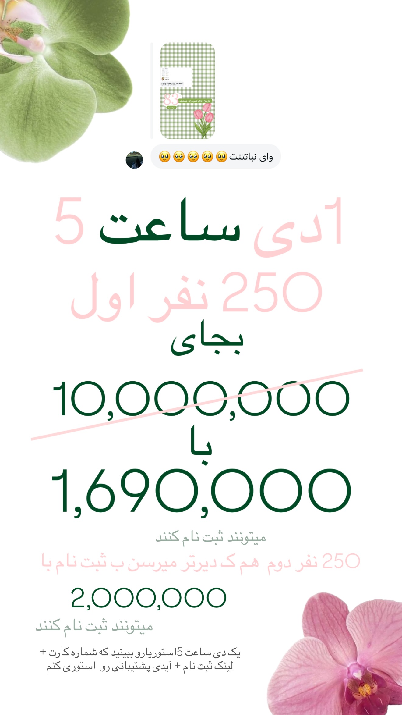  جدید ترین استوری اینستاگرام نبات