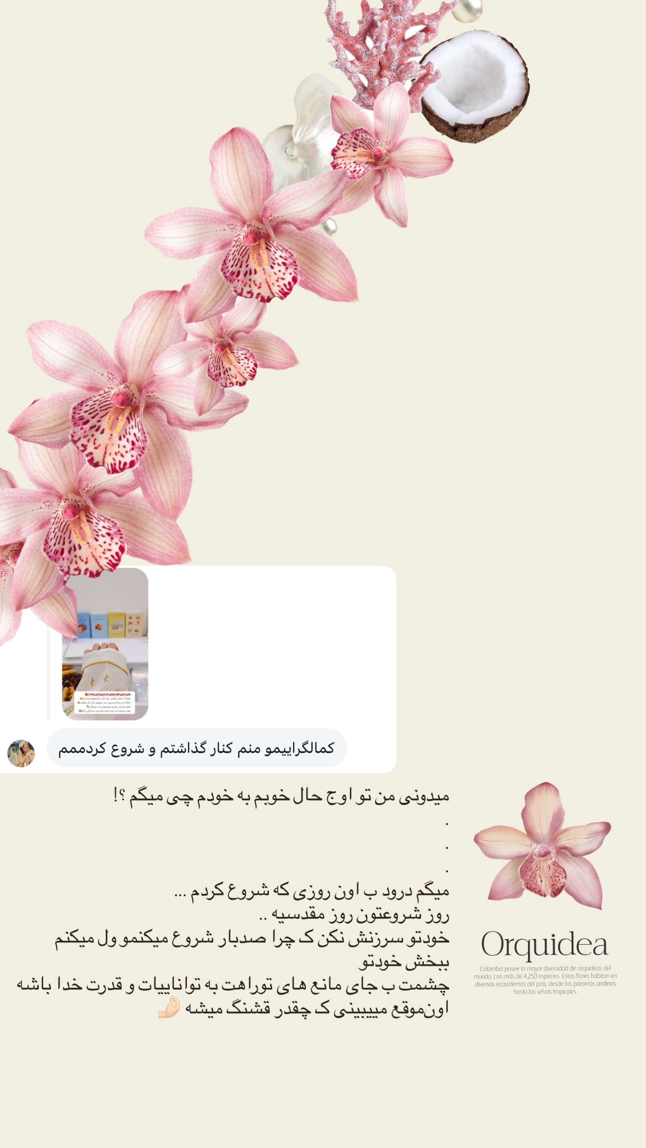  جدید ترین استوری اینستاگرام نبات