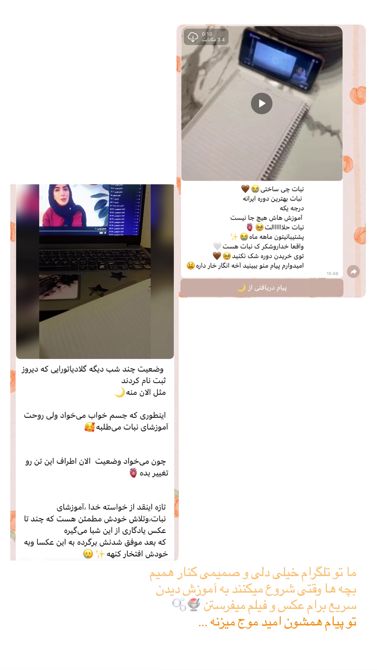  جدید ترین استوری اینستاگرام نبات