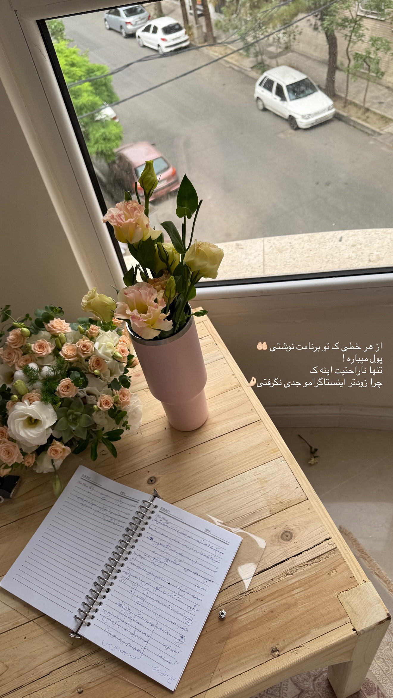  جدید ترین استوری اینستاگرام نبات