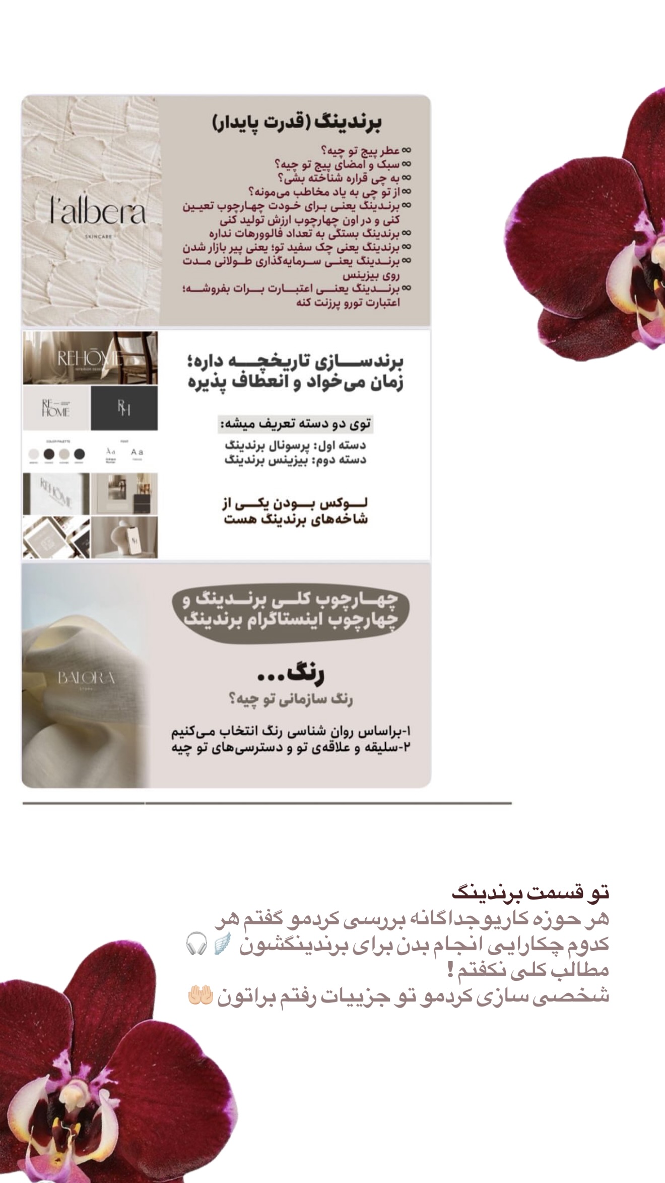  جدید ترین استوری اینستاگرام نبات