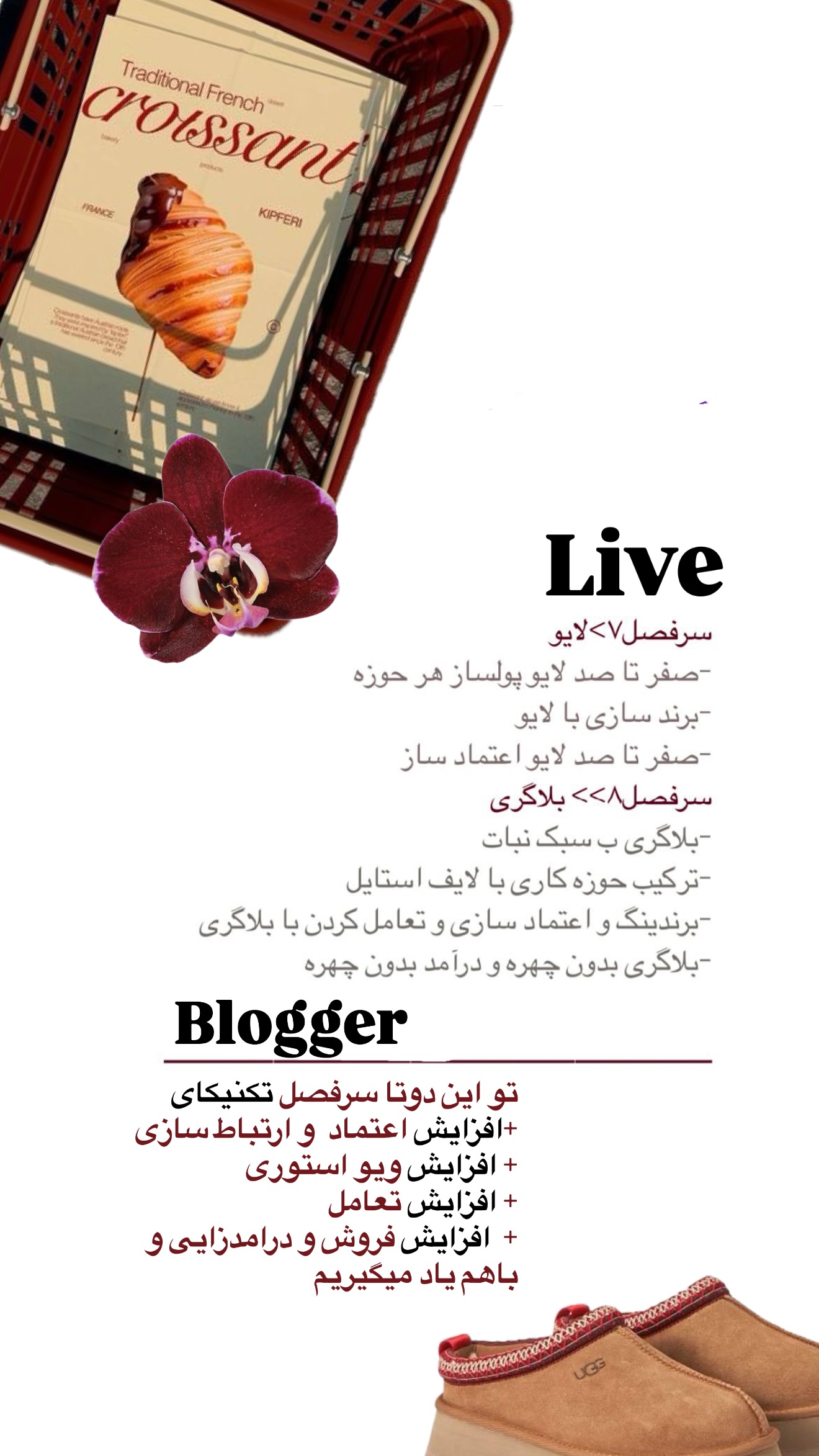  جدید ترین استوری اینستاگرام نبات
