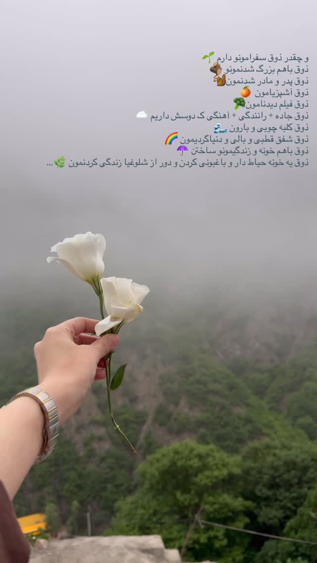  جدید ترین استوری اینستاگرام نبات