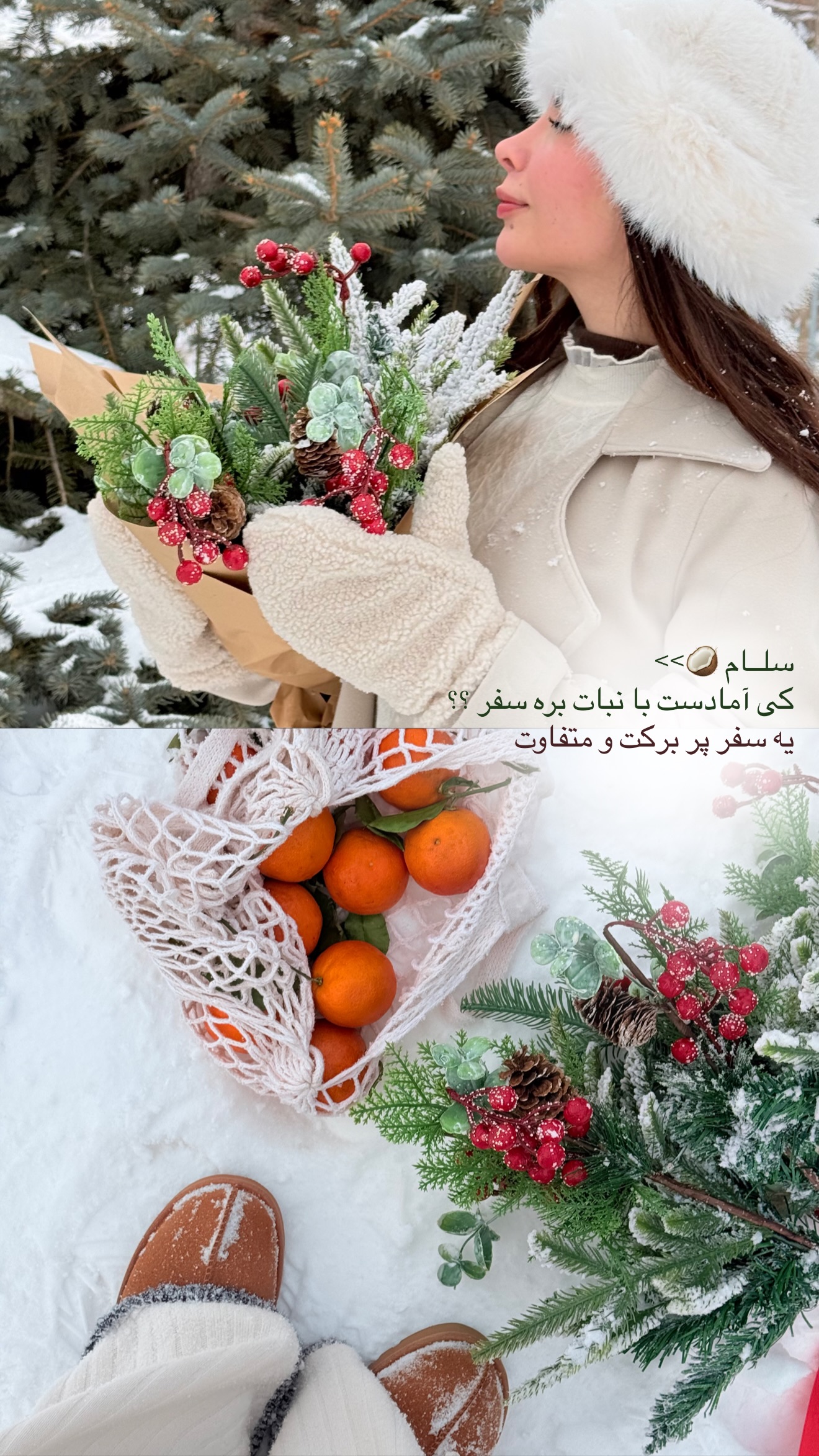 جدید ترین استوری اینستاگرام نبات