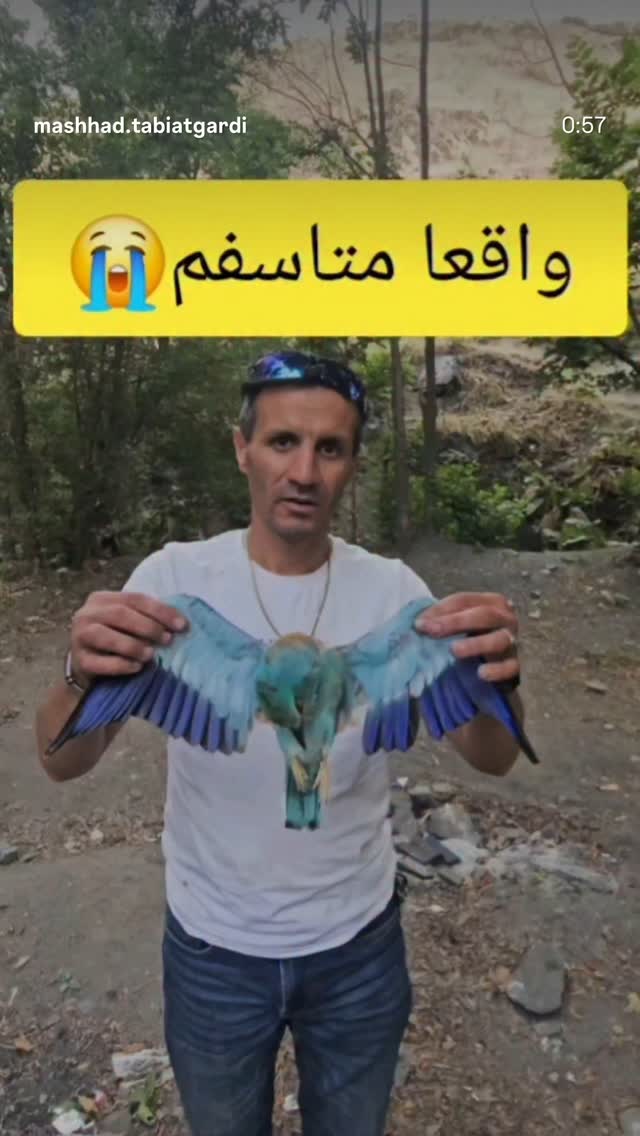  جدید ترین استوری اینستاگرام نادر فلاح
