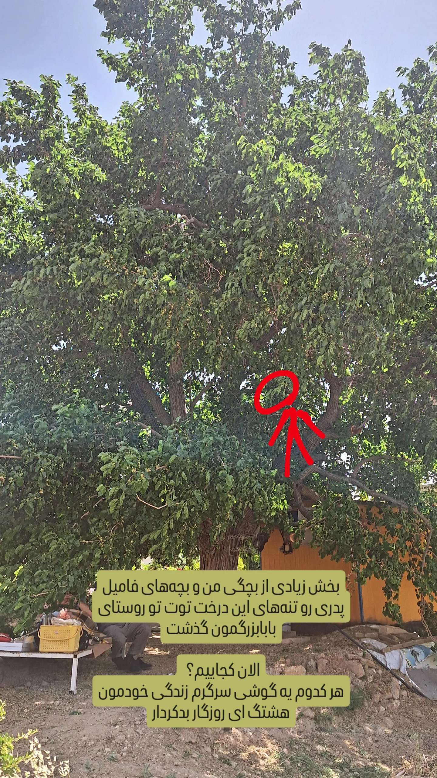  جدید ترین استوری اینستاگرام نعیمه موحد