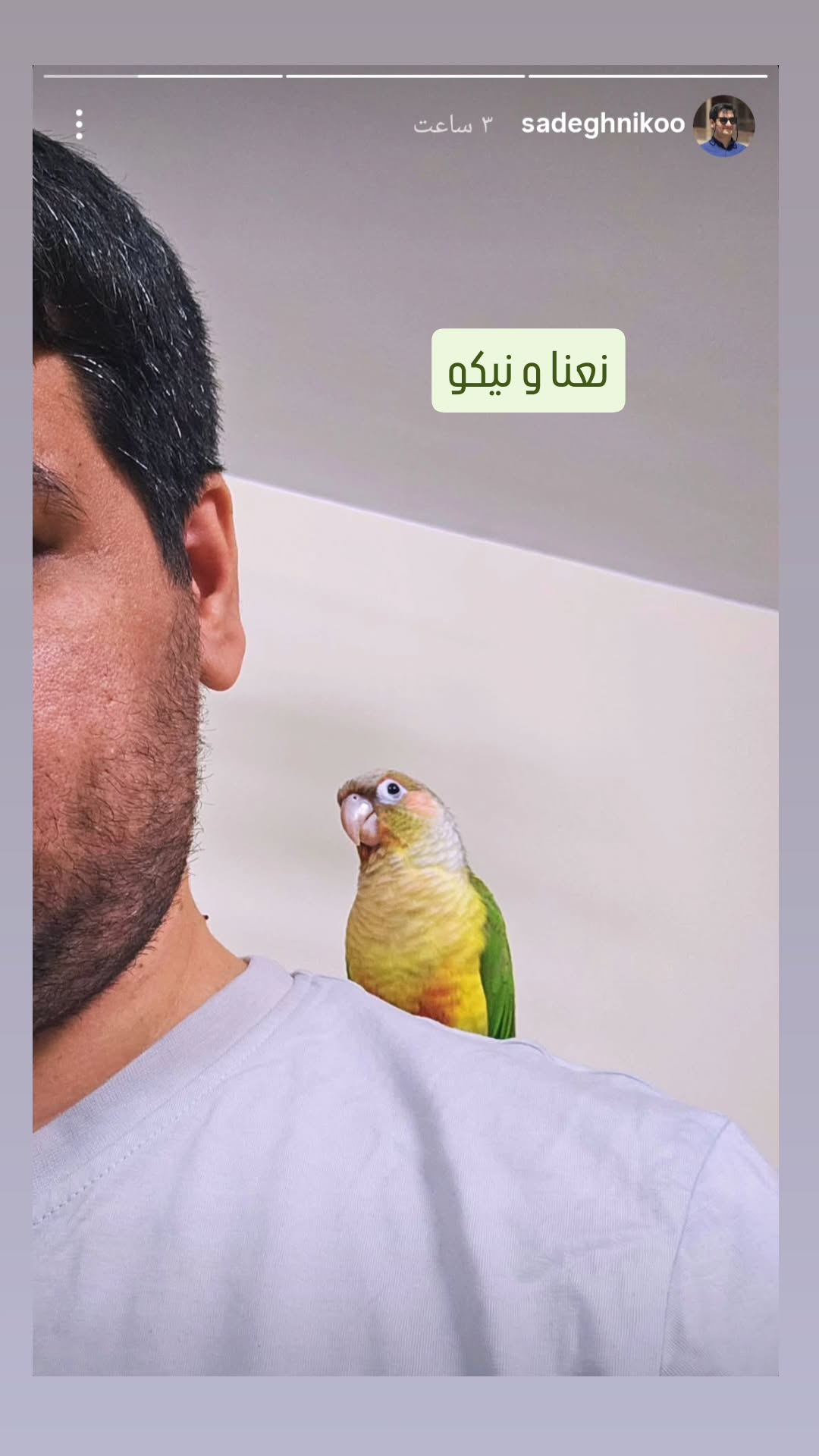  جدید ترین استوری اینستاگرام نعیمه موحد