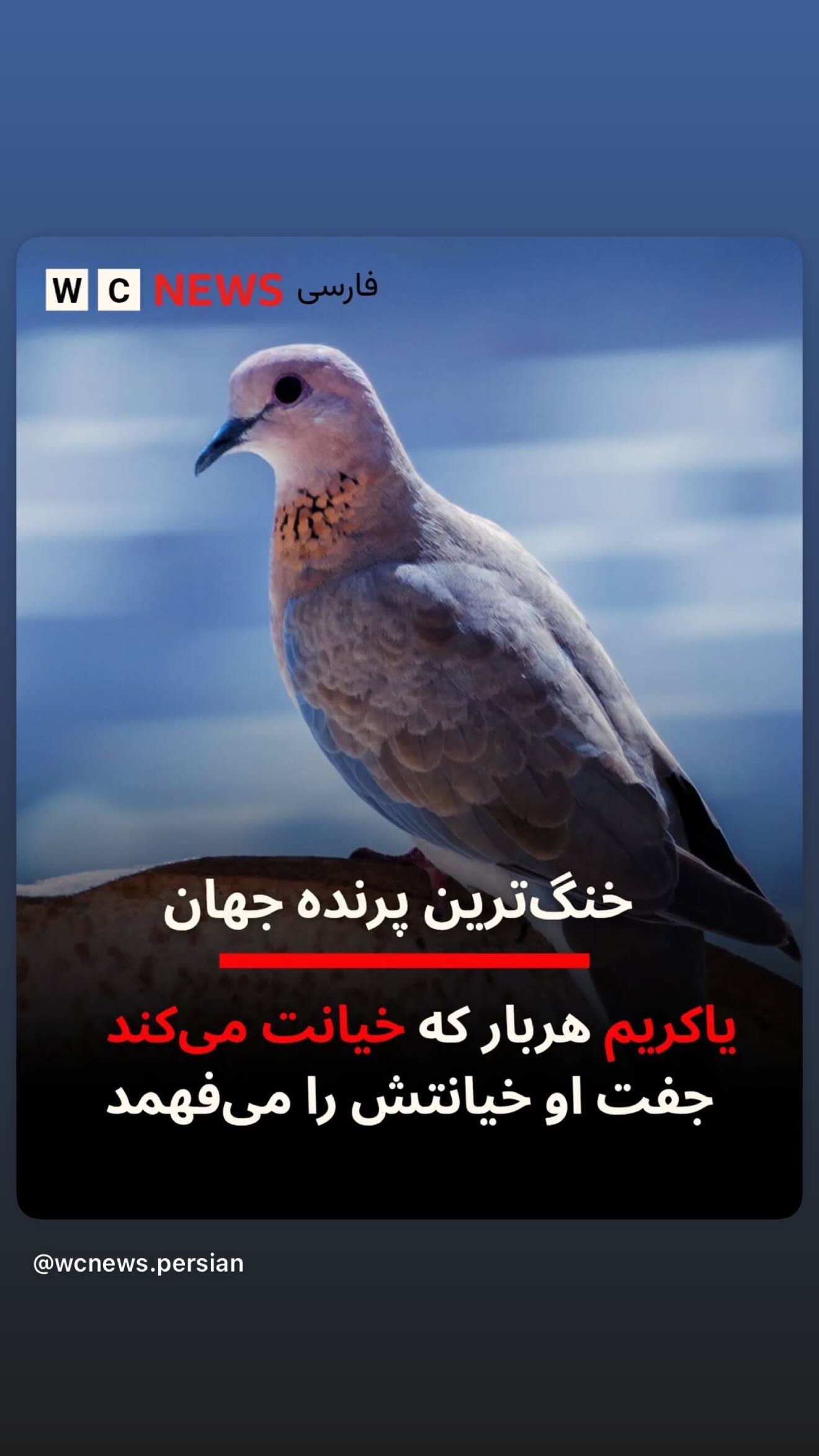  جدید ترین استوری اینستاگرام نعیمه نظام دوست