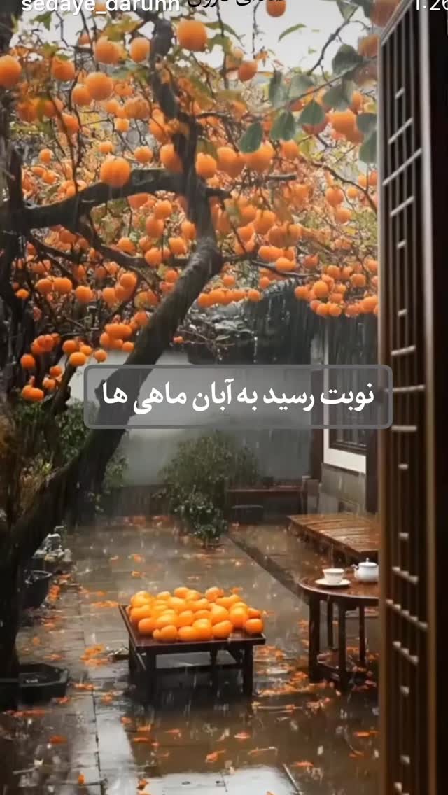  جدید ترین استوری اینستاگرام نعیمه نظام دوست