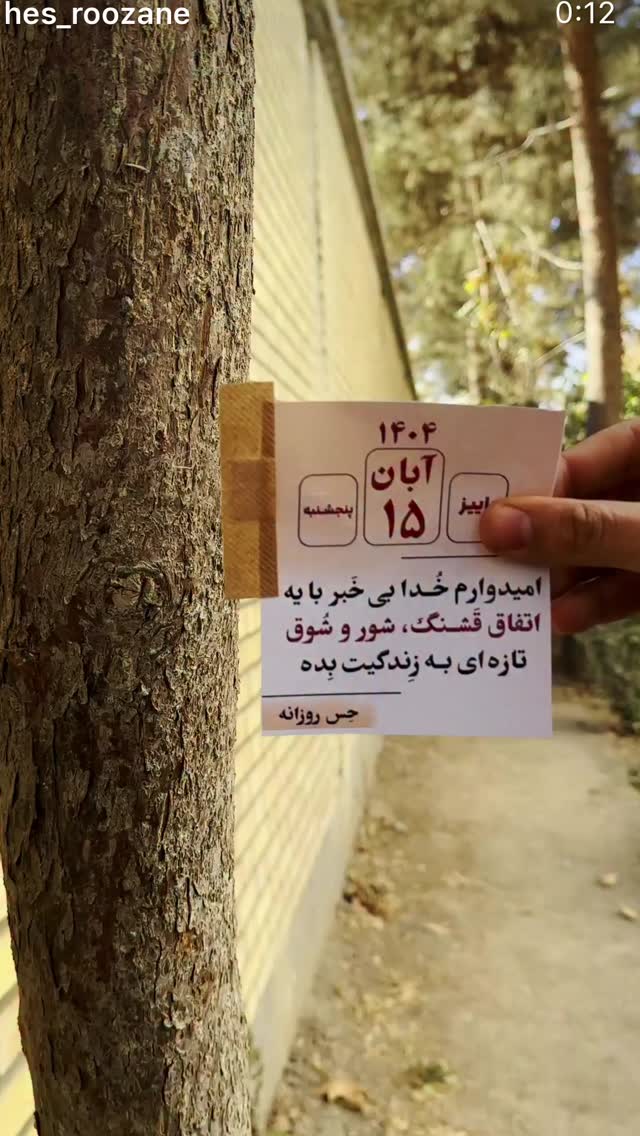  جدید ترین استوری اینستاگرام نعیمه نظام دوست