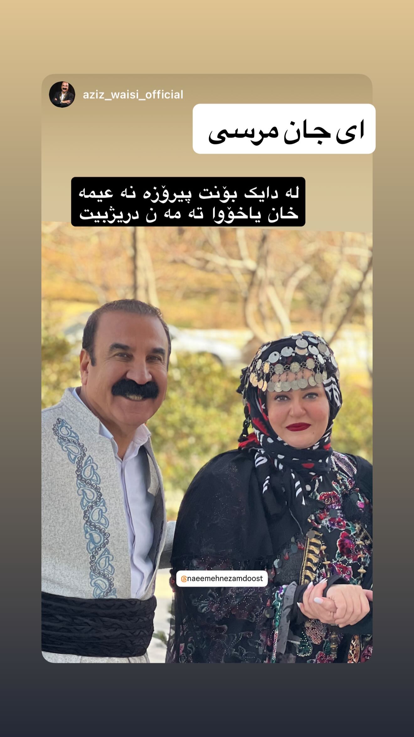  جدید ترین استوری اینستاگرام نعیمه نظام دوست