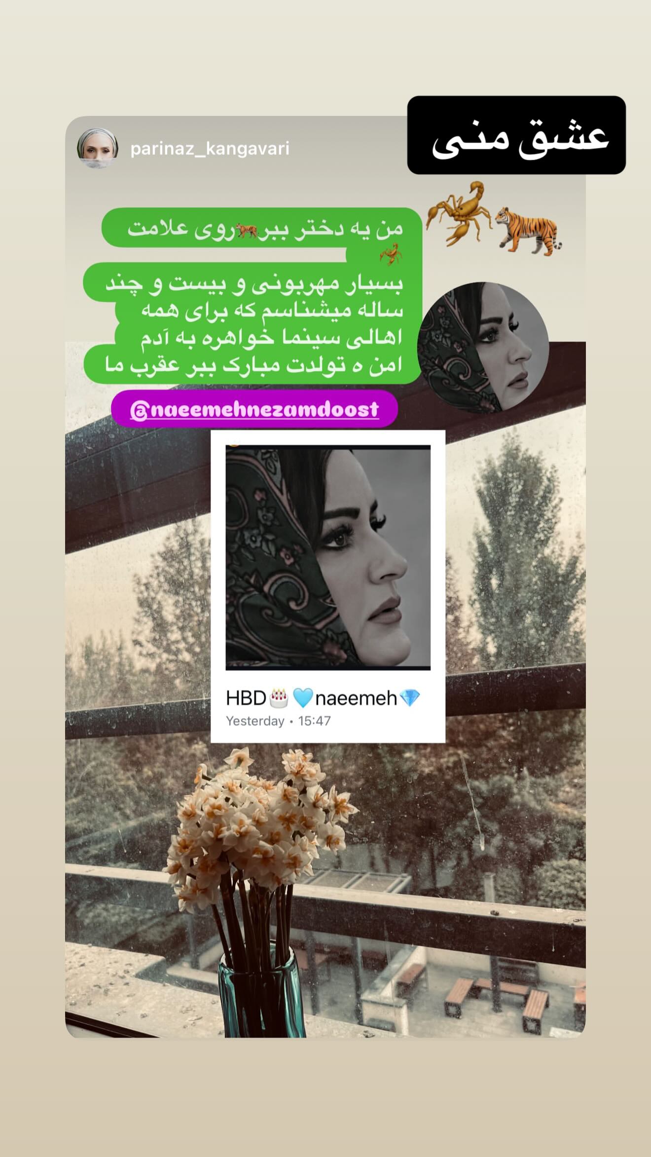  جدید ترین استوری اینستاگرام نعیمه نظام دوست