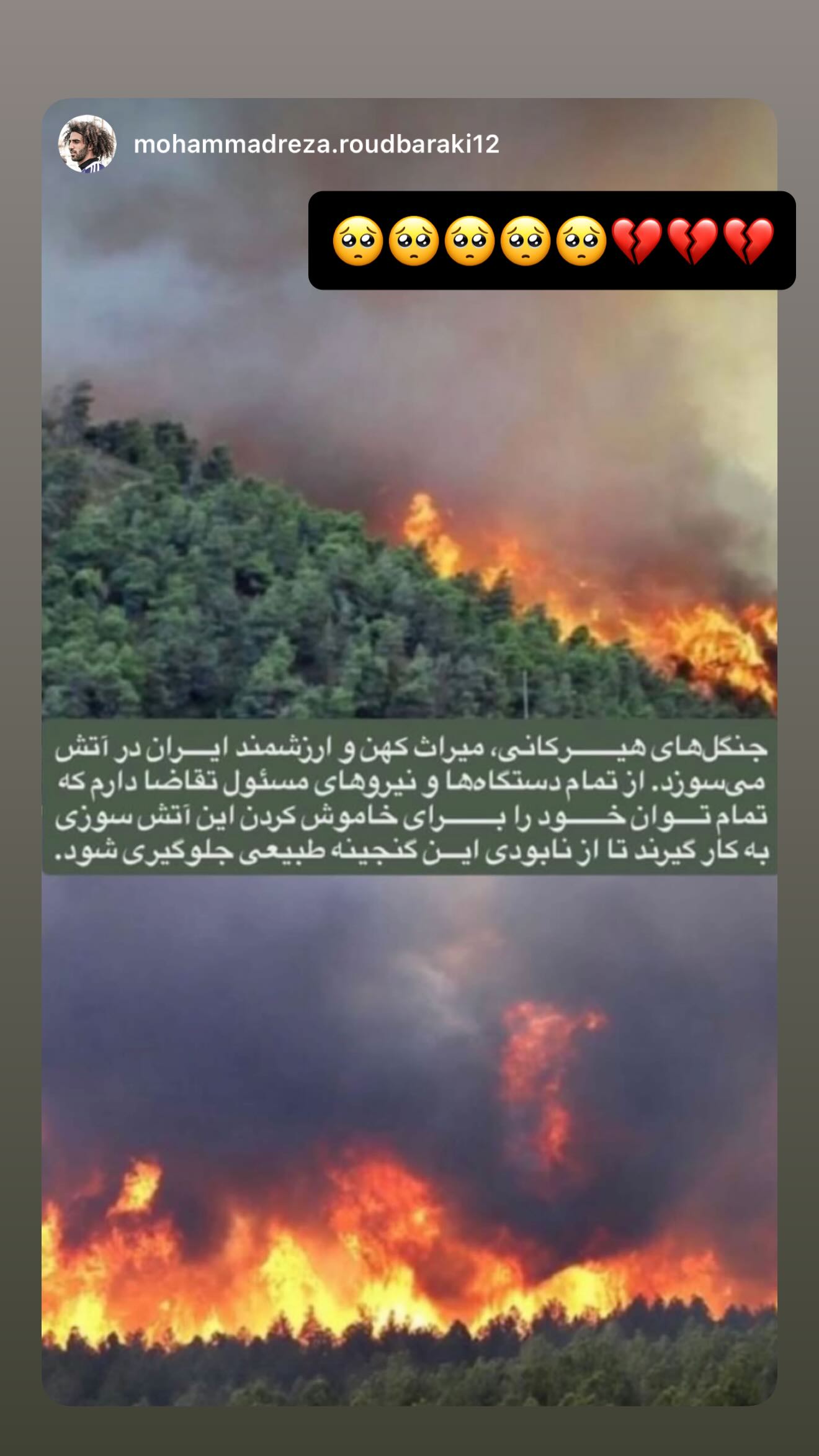  جدید ترین استوری اینستاگرام نعیمه نظام دوست