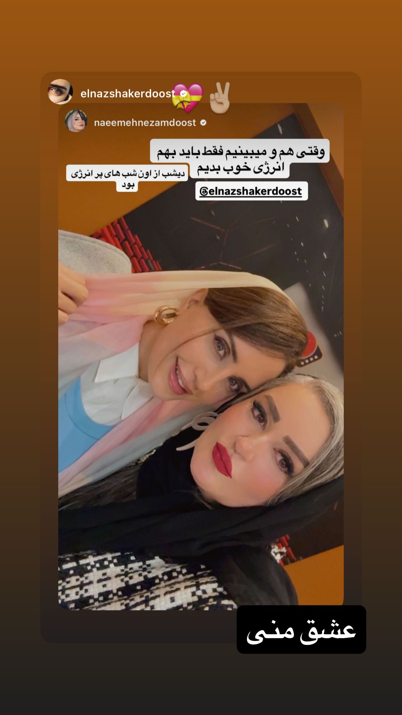  جدید ترین استوری اینستاگرام نعیمه نظام دوست