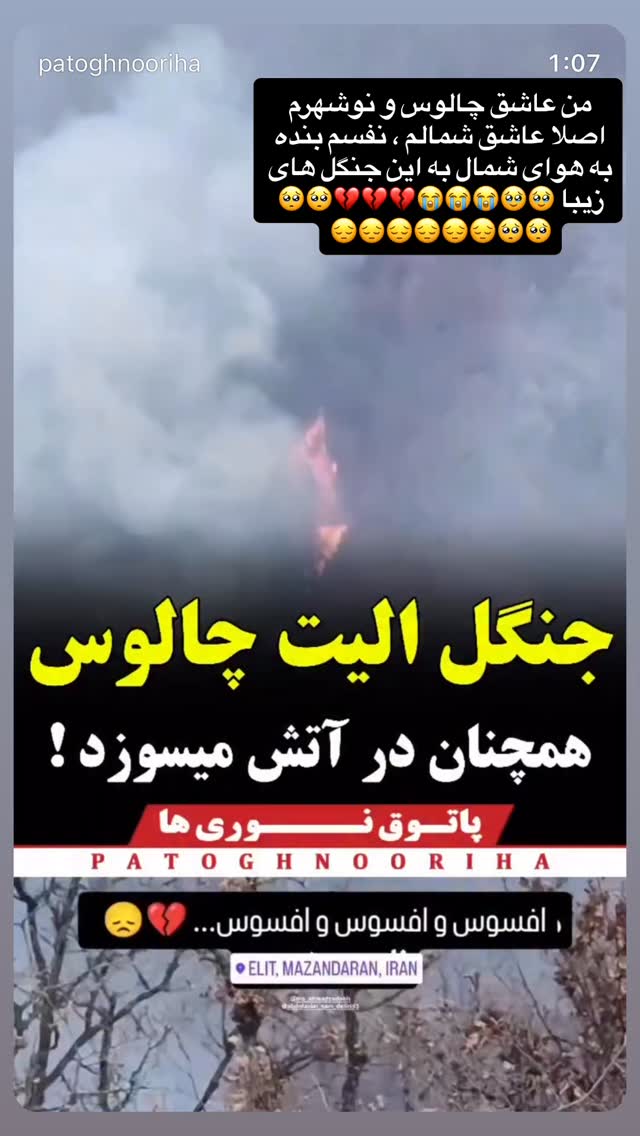  جدید ترین استوری اینستاگرام نعیمه نظام دوست