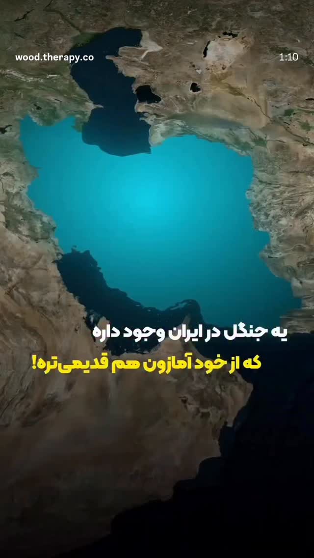  جدید ترین استوری اینستاگرام نعیمه نظام دوست