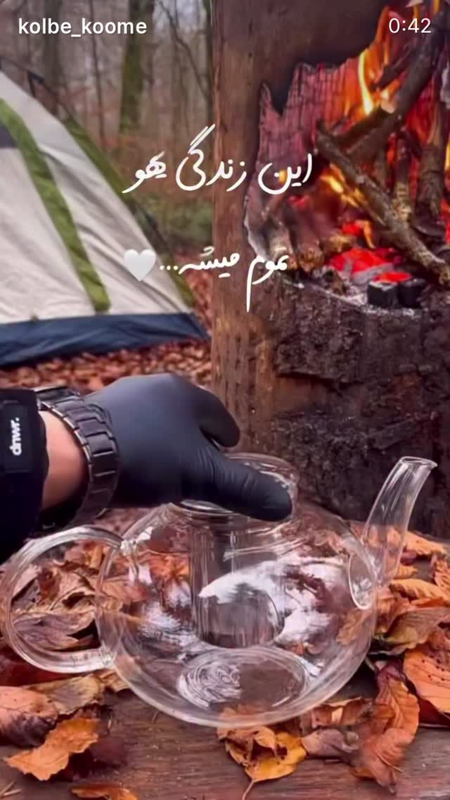  جدید ترین استوری اینستاگرام نعیمه نظام دوست