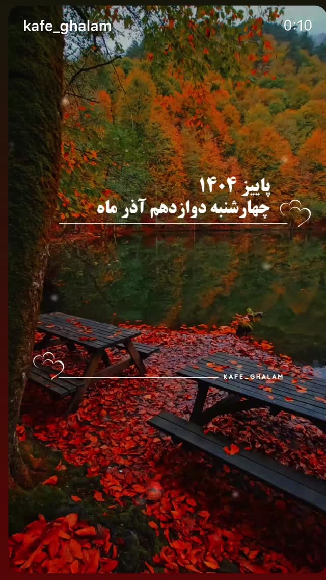  جدید ترین استوری اینستاگرام نعیمه نظام دوست