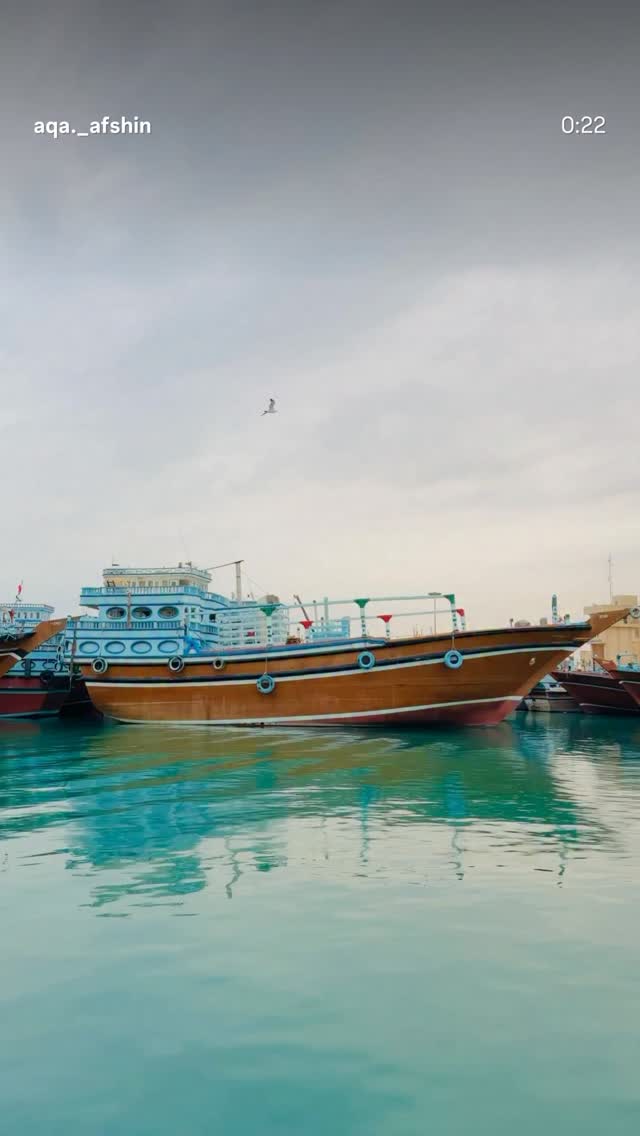  جدید ترین استوری اینستاگرام نعیمه نظام دوست