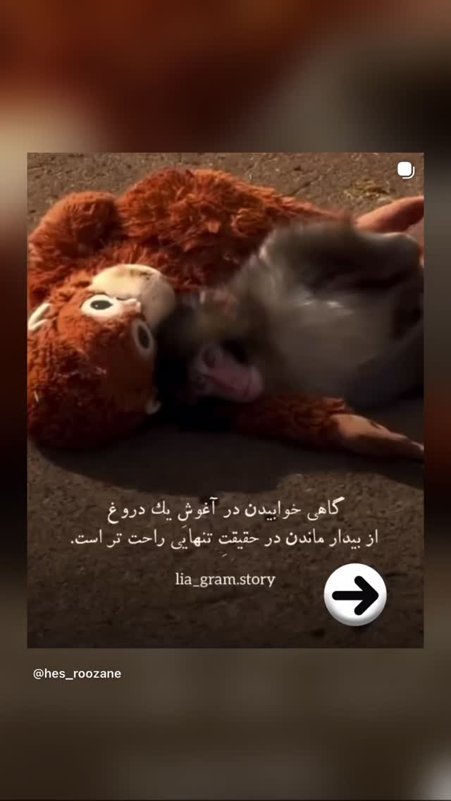  جدید ترین استوری اینستاگرام نعیمه نظام دوست