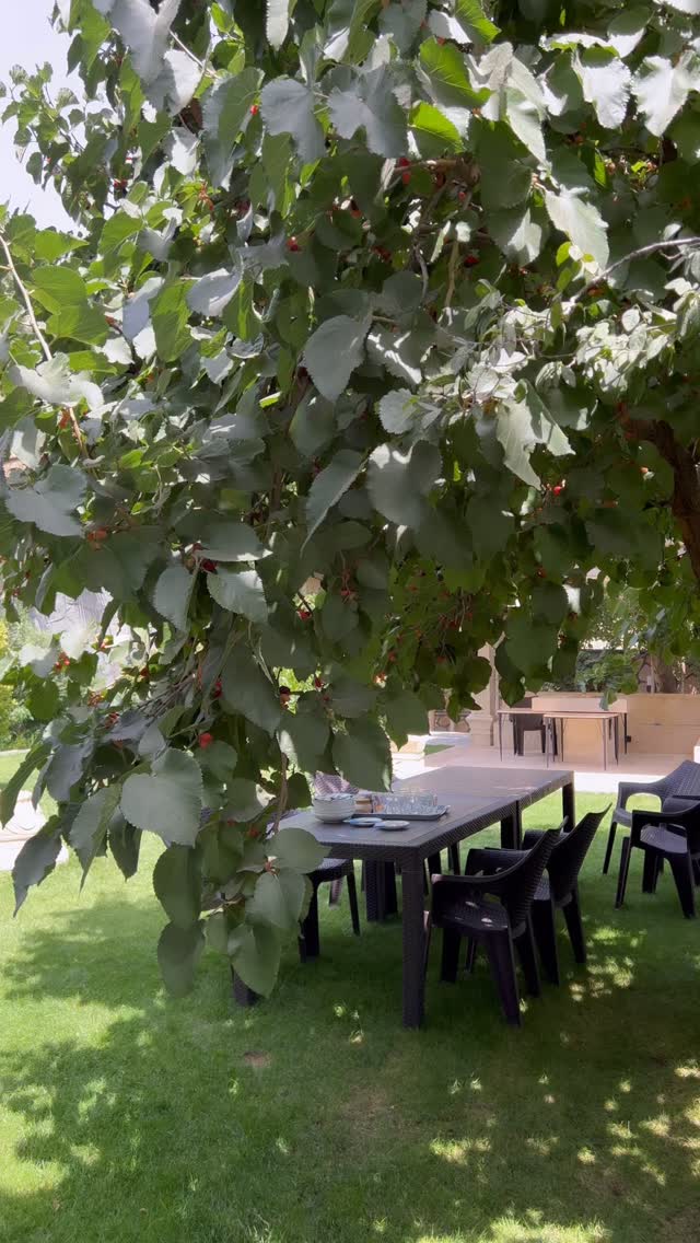  جدید ترین استوری اینستاگرام مینا ترابی