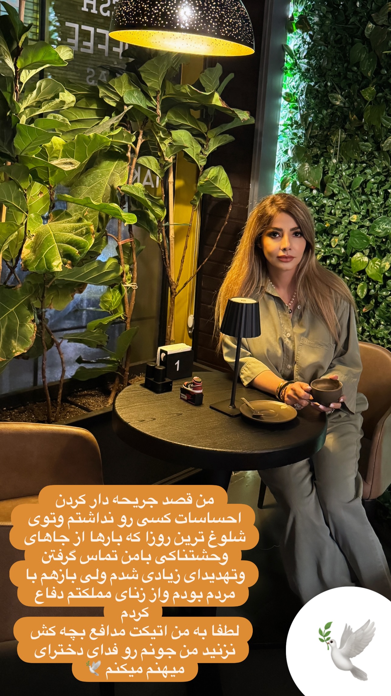  جدید ترین استوری اینستاگرام مینا ترابی