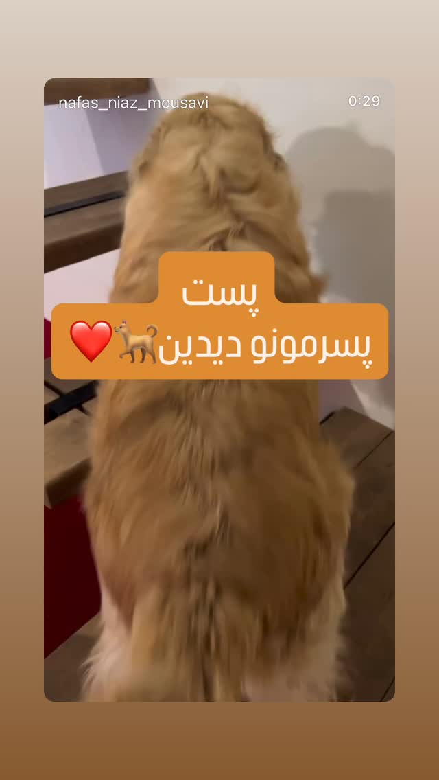  جدید ترین استوری اینستاگرام مینا ترابی