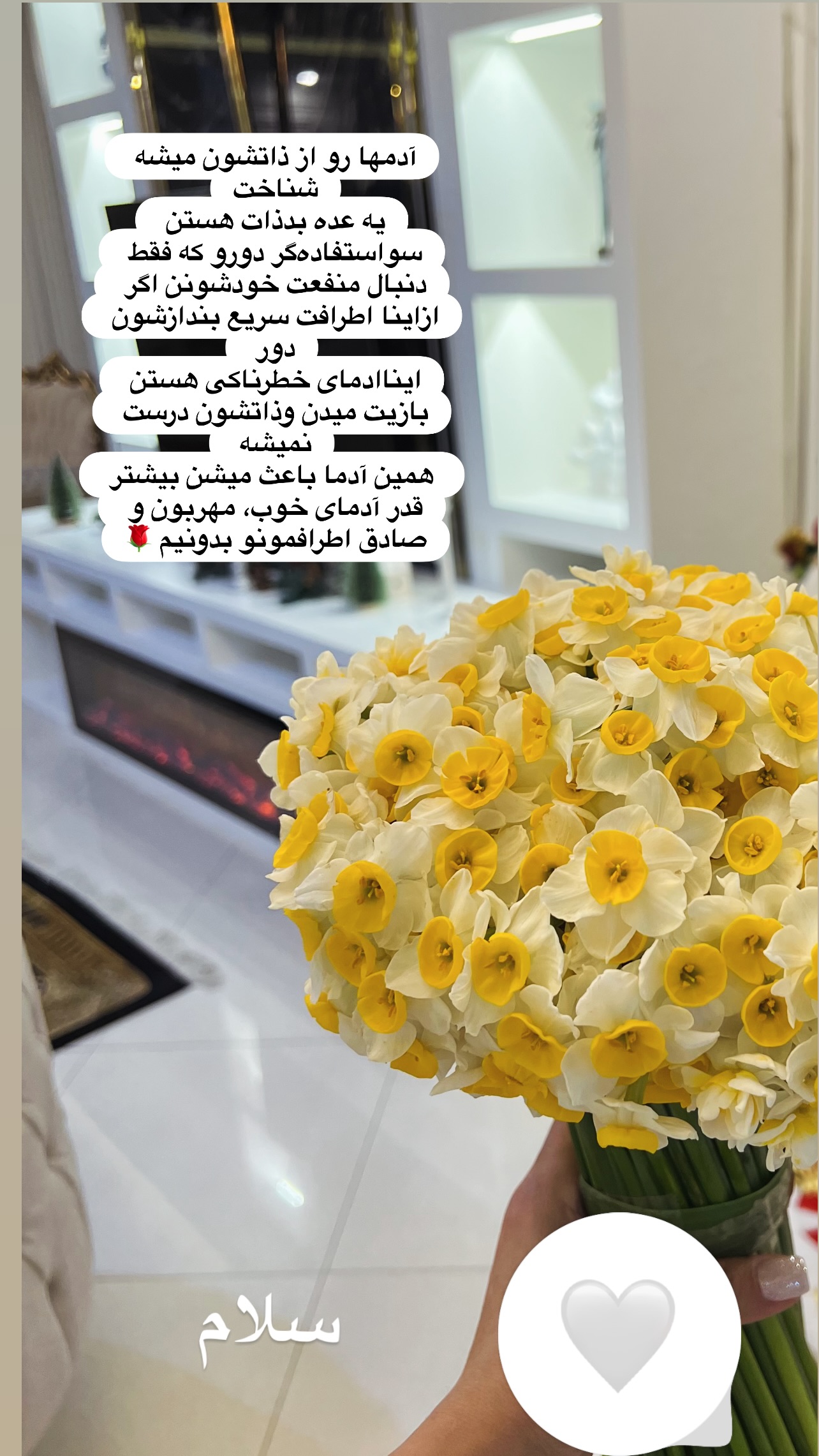  جدید ترین استوری اینستاگرام مینا ترابی