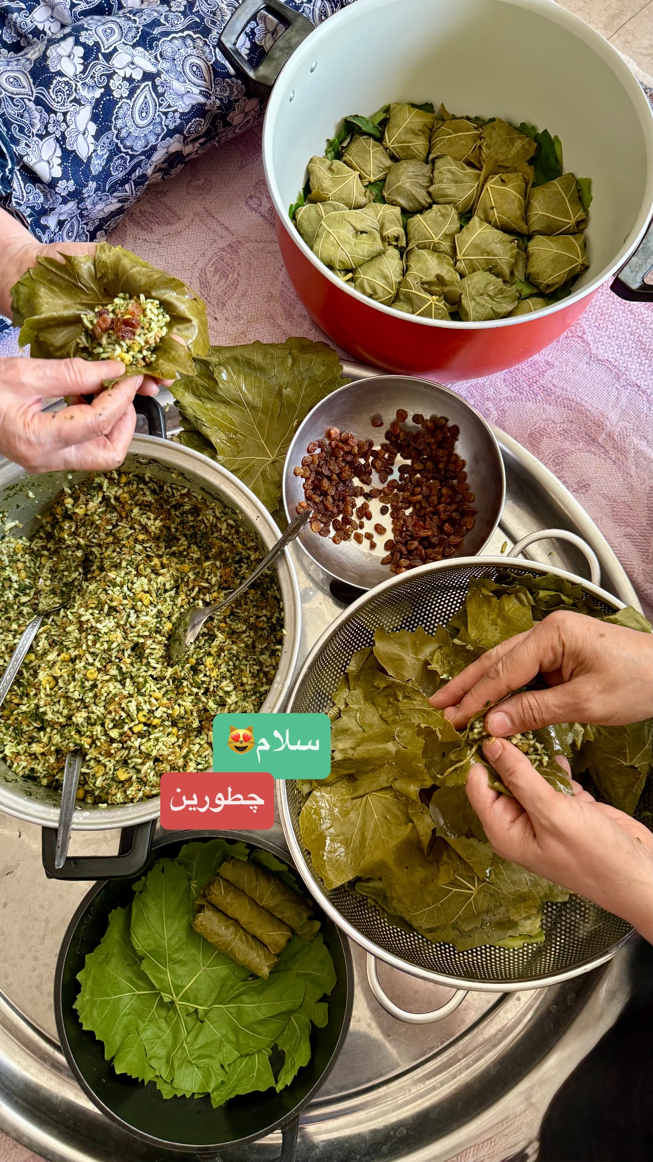  جدید ترین استوری اینستاگرام نفیسه عابدی