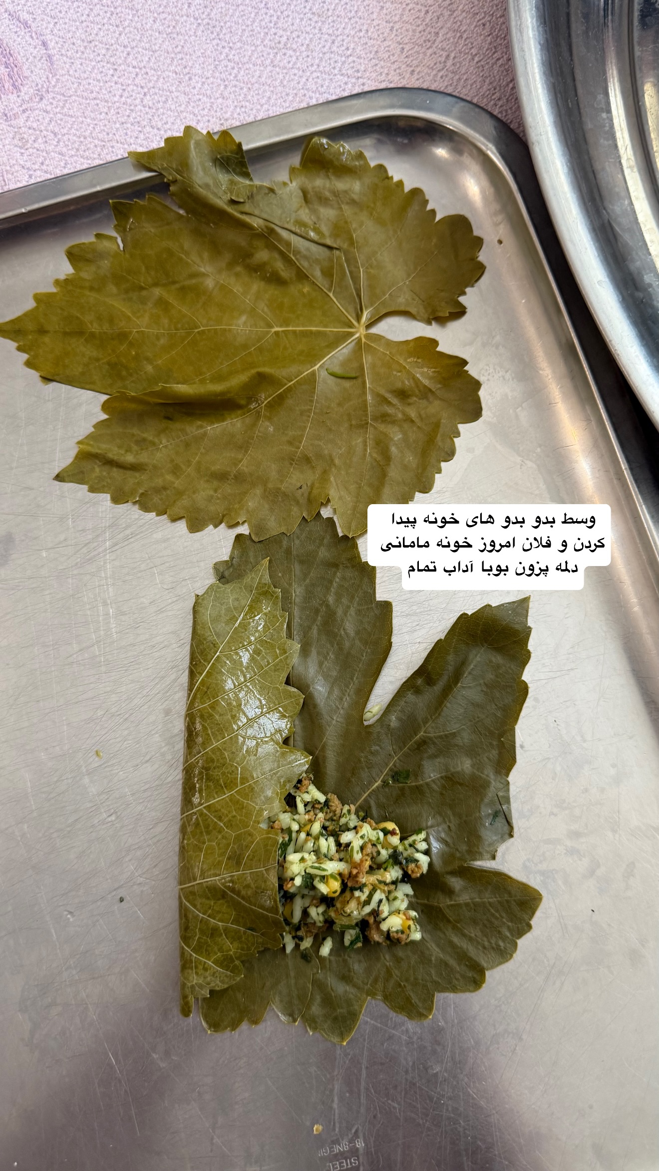  جدید ترین استوری اینستاگرام نفیسه عابدی