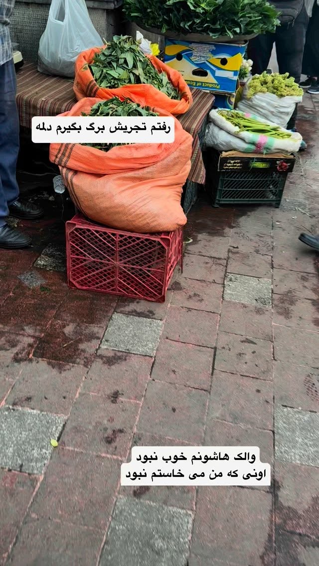  جدید ترین استوری اینستاگرام نفیسه عابدی