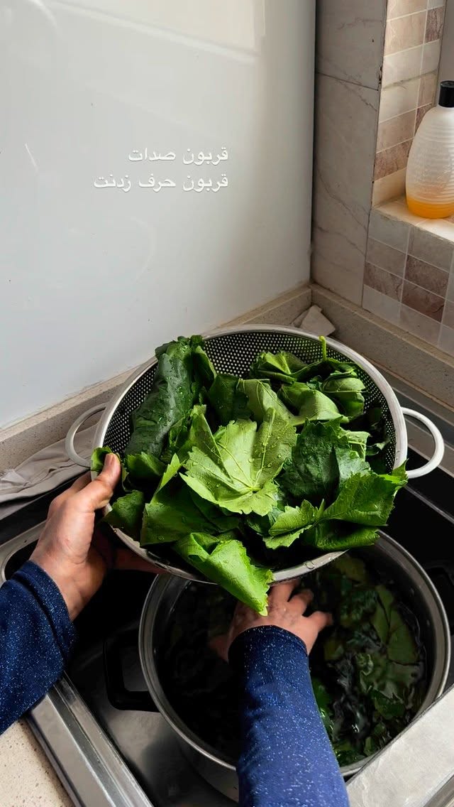 جدید ترین استوری اینستاگرام نفیسه عابدی