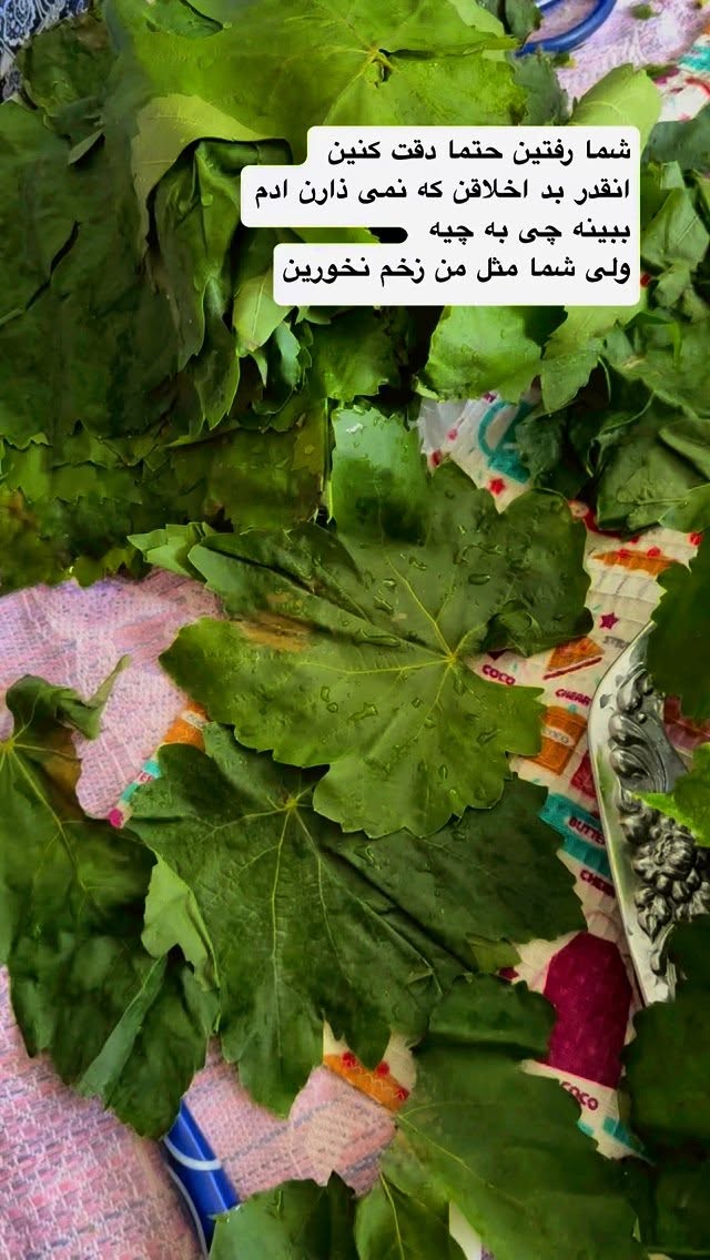  جدید ترین استوری اینستاگرام نفیسه عابدی