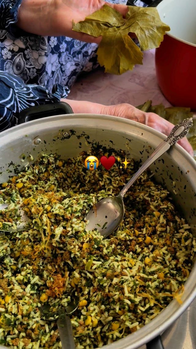  جدید ترین استوری اینستاگرام نفیسه عابدی