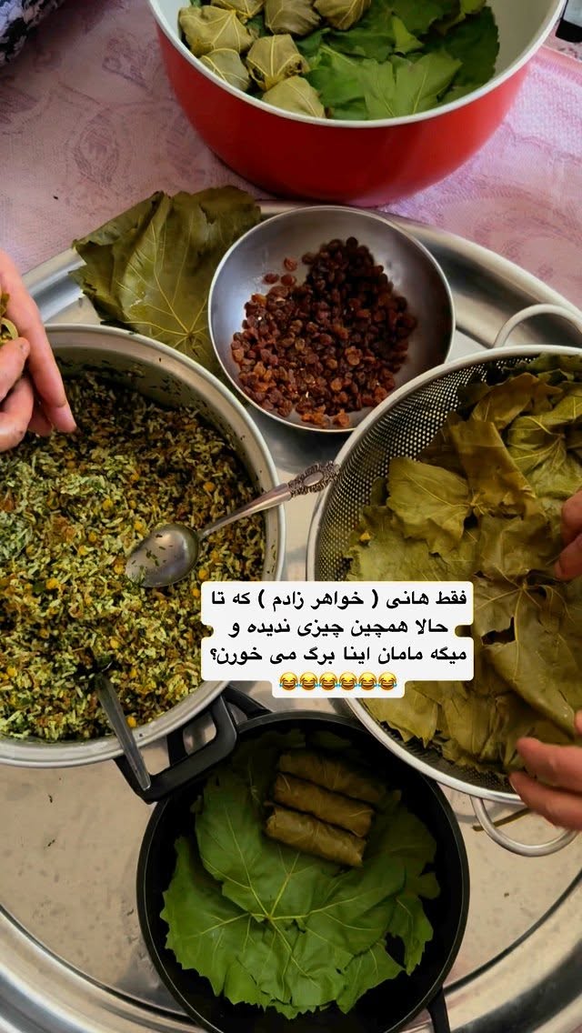  جدید ترین استوری اینستاگرام نفیسه عابدی