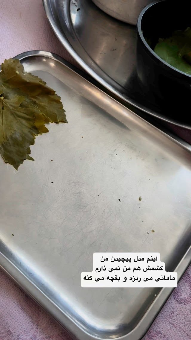  جدید ترین استوری اینستاگرام نفیسه عابدی