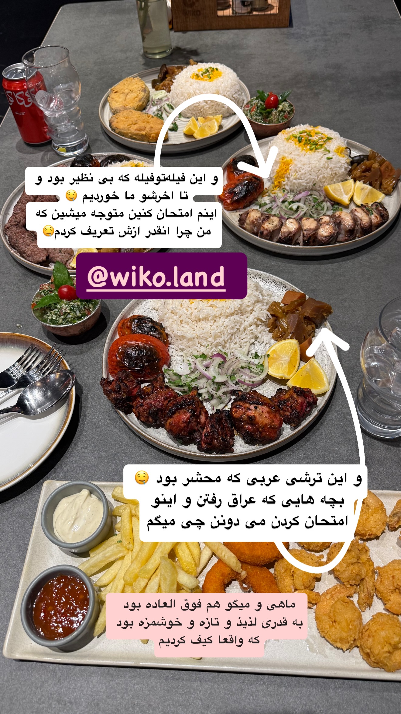  جدید ترین استوری اینستاگرام نفیسه عابدی
