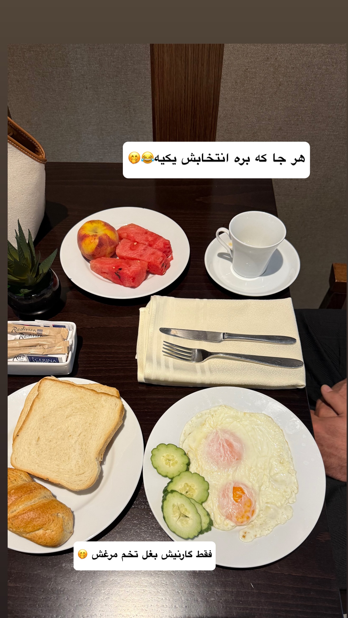  جدید ترین استوری اینستاگرام نفیسه عابدی