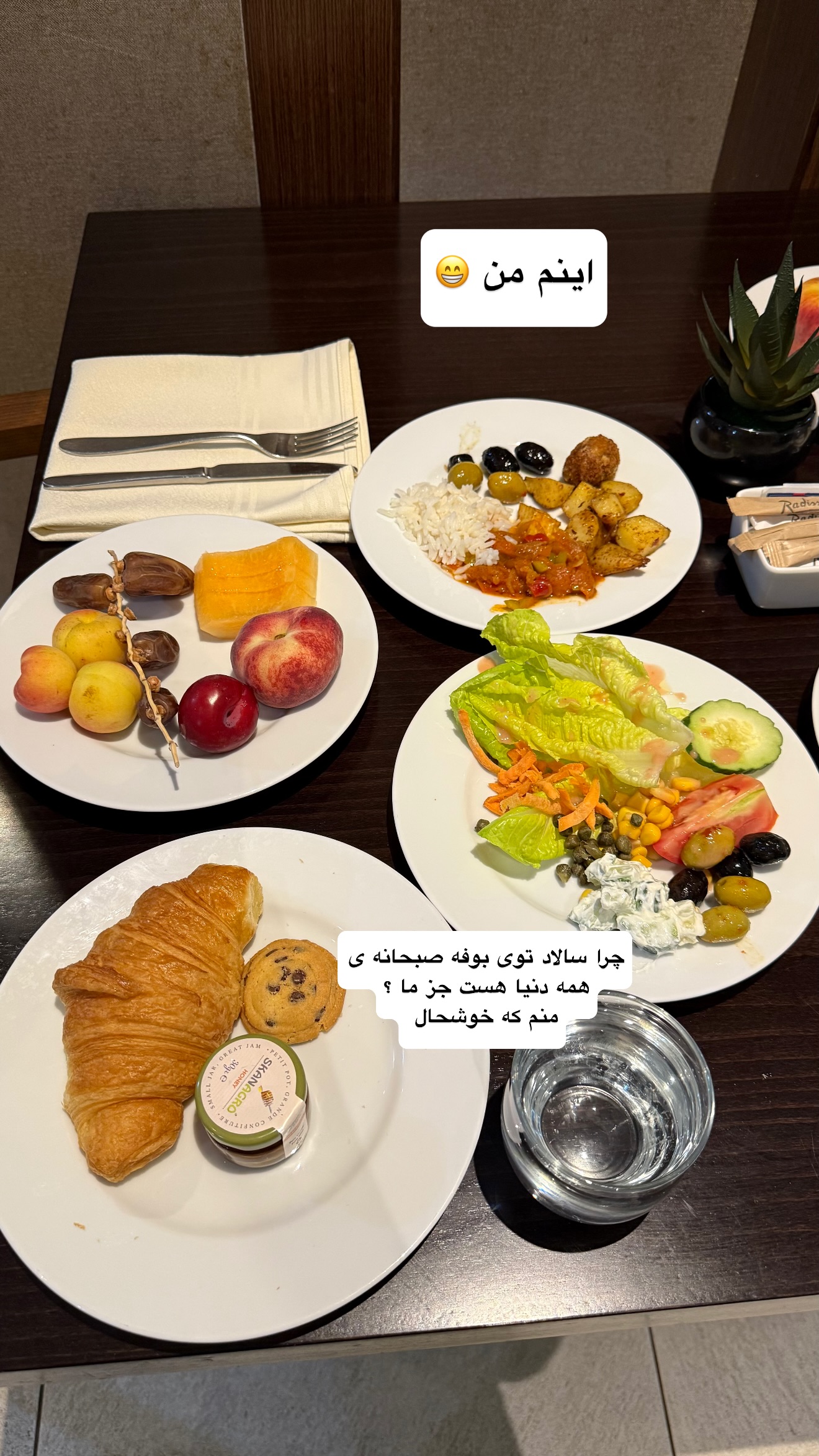  جدید ترین استوری اینستاگرام نفیسه عابدی