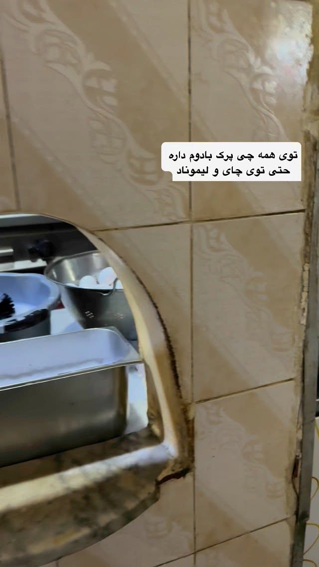  جدید ترین استوری اینستاگرام نفیسه عابدی