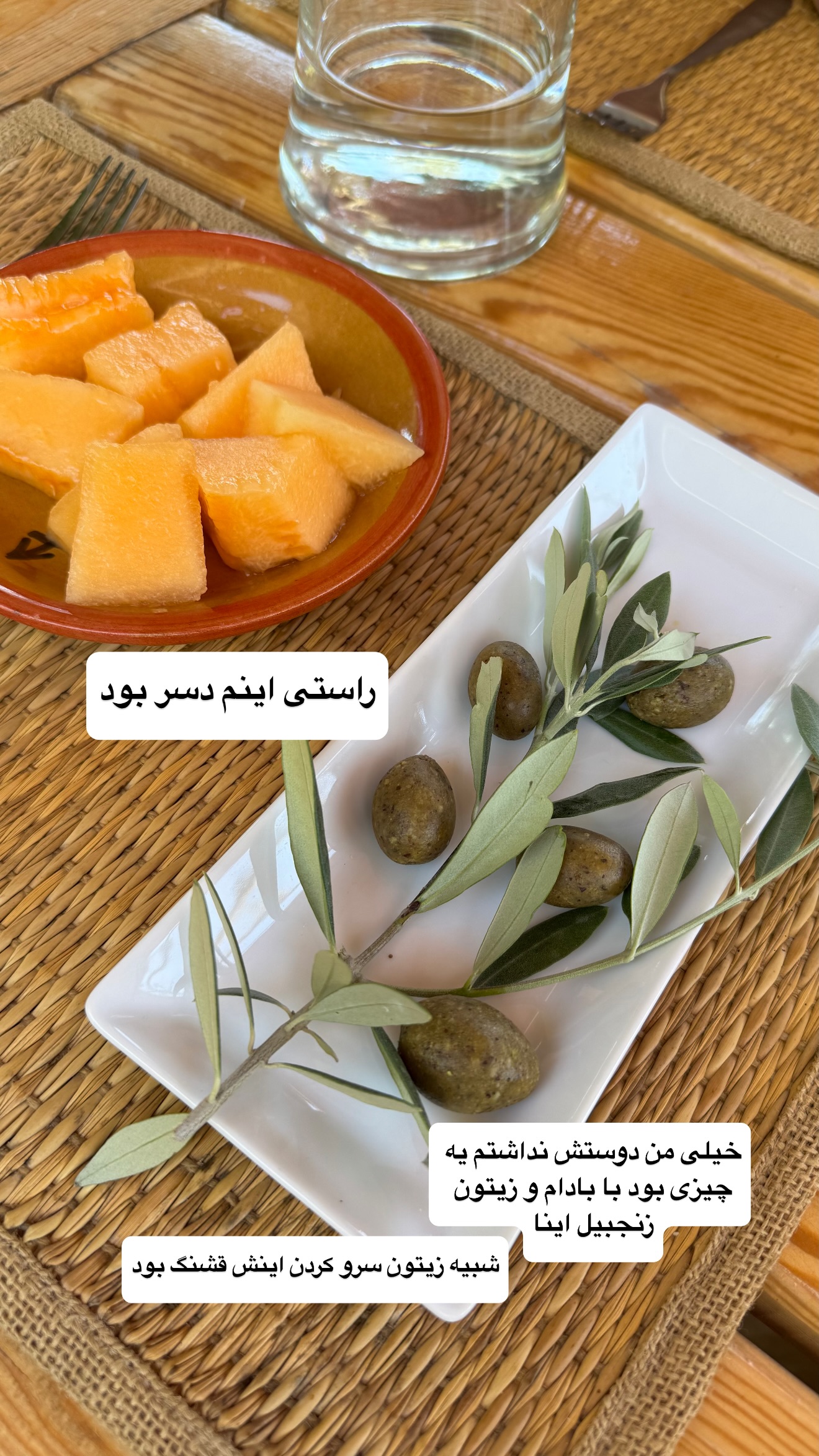  جدید ترین استوری اینستاگرام نفیسه عابدی