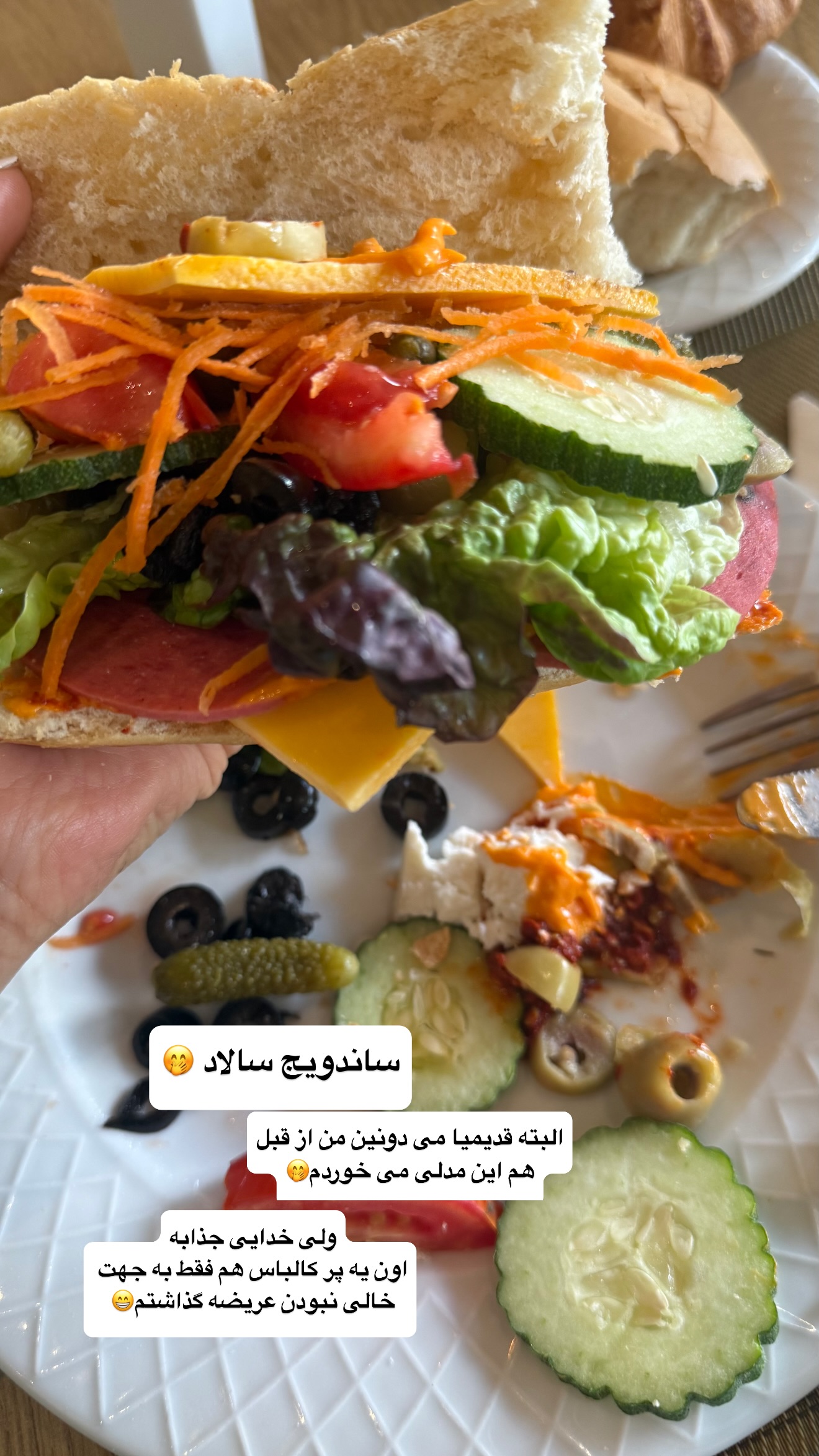  جدید ترین استوری اینستاگرام نفیسه عابدی