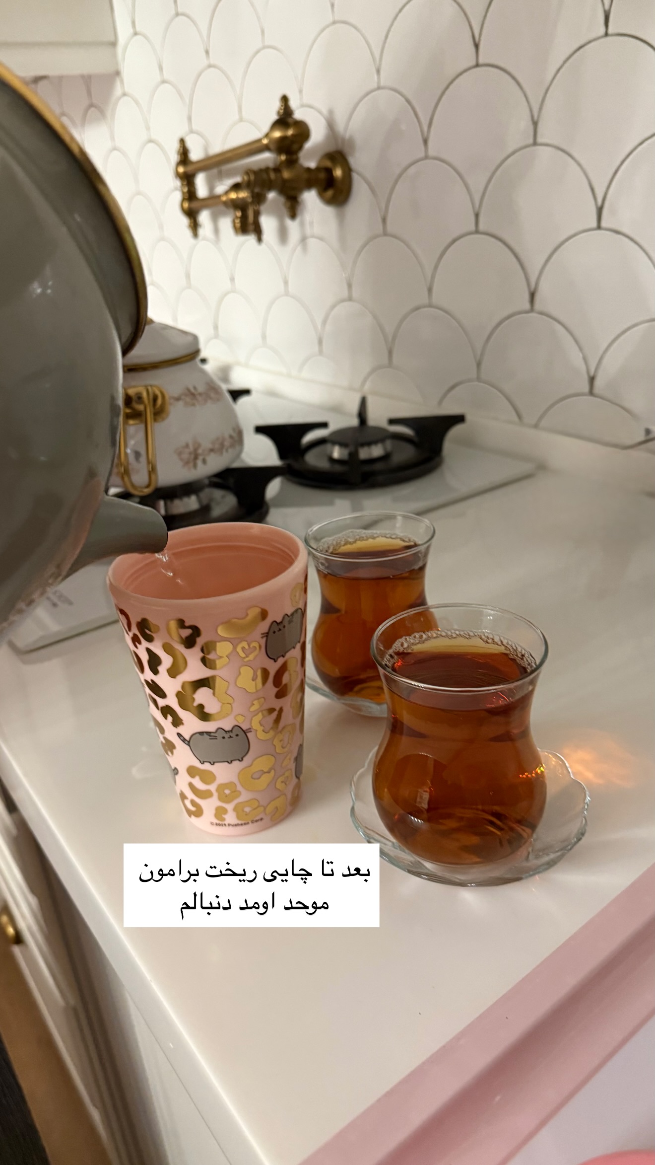  جدید ترین استوری اینستاگرام نفیسه عابدی
