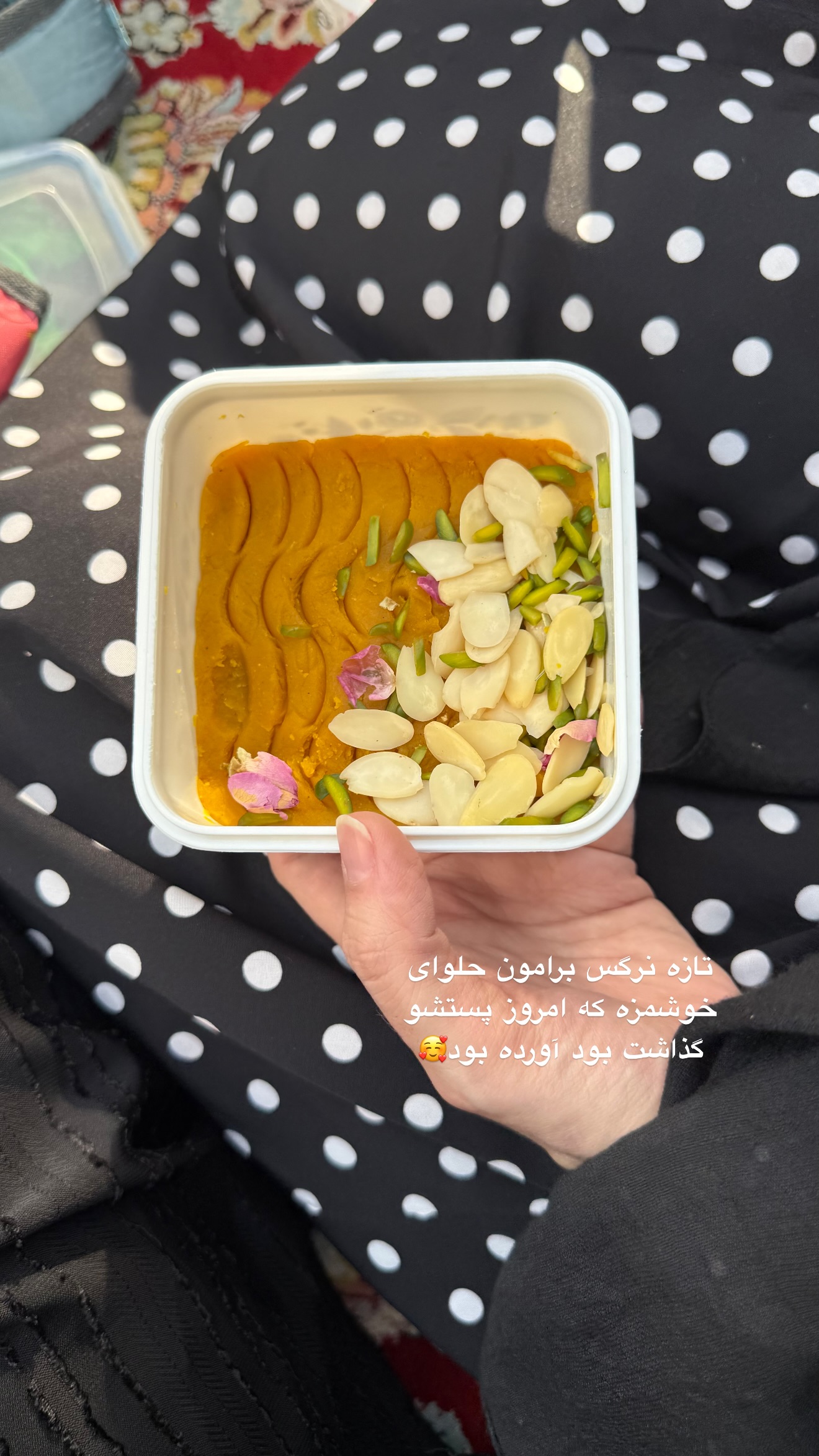  جدید ترین استوری اینستاگرام نفیسه عابدی