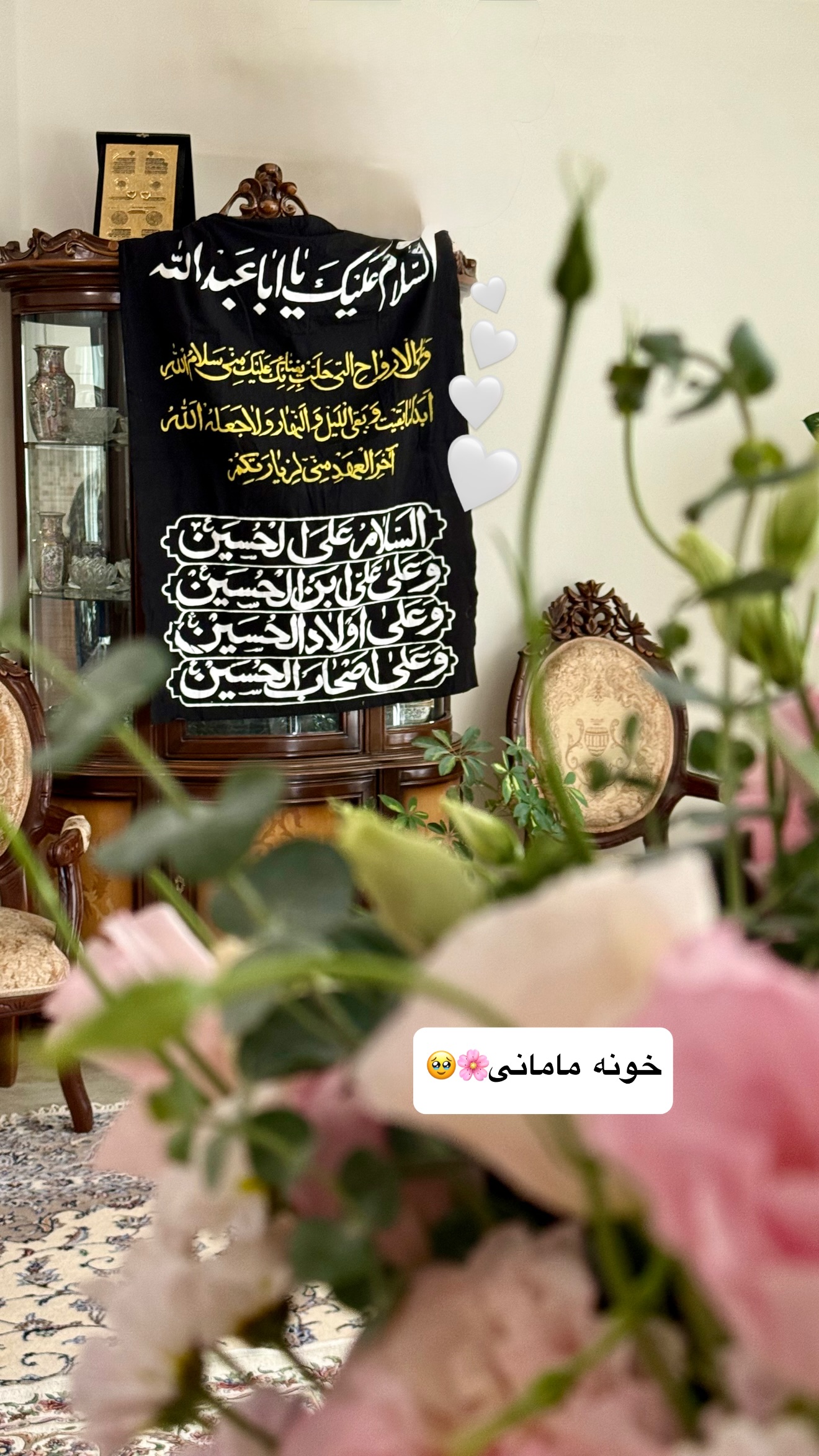 جدید ترین استوری اینستاگرام نفیسه عابدی