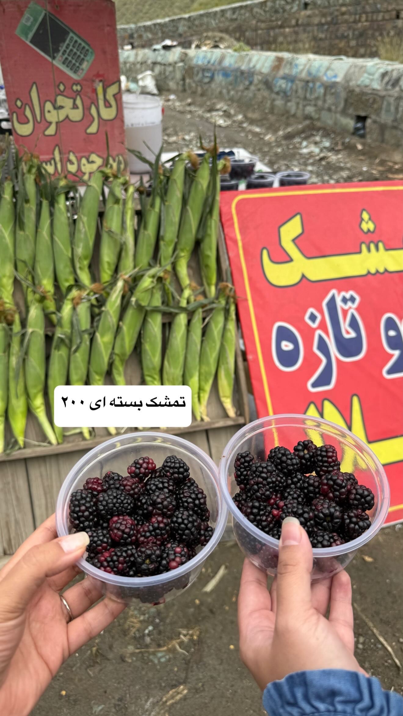  جدید ترین استوری اینستاگرام نفیسه عابدی