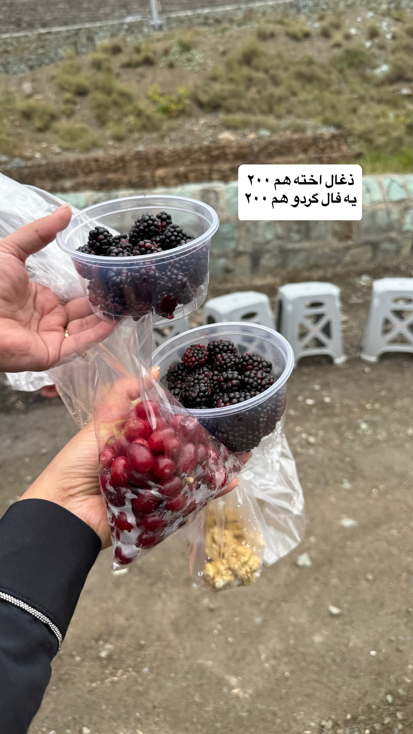  جدید ترین استوری اینستاگرام نفیسه عابدی